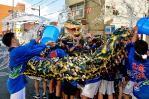 子どもたちを巻き込んだハブに威勢よく水を掛け、景気を付けるハブ隊＝５日、奄美市名瀬