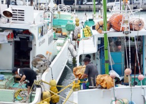 漁船同士をつなぎ留め台風に備える漁師＝１０日、名瀬漁港