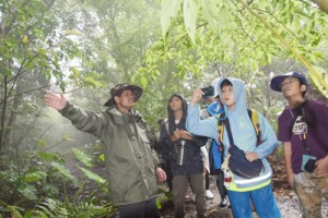 沖縄本島北部・やんばる地域の森で植物などを観察した奄美こども環境調査隊の隊員ら＝１日、沖縄県国頭村