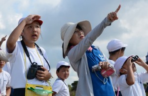 アカハラダカを観察する児童ら＝１９日、奄美市名瀬 