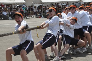 ２０種目で熱戦を繰り広げた大島高校の体育祭＝２日、奄美市名瀬