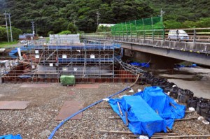 柳橋の架け替え工事が進む住用川の流域防災工事現場＝２２日、奄美市住用町