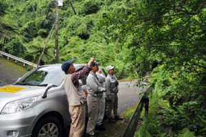 希少種保護パトロールの強化で奄美大島自然保護協議会が配置した監視員＝２０１６年５月、奄美市住用町