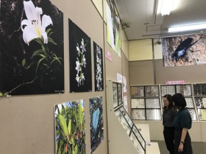 奄美大島と徳之島の自然をテーマにした資料が並ぶ企画展＝２日、鹿児島市の県立博物館