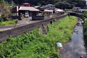 ２０１０年の奄美豪雨で右の冷川が氾濫し集落全体が冠水した西仲間地区＝２０日、奄美市住用町  