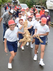 大綱を担いで集落を練り歩く児童ら＝１７日、奄美市名瀬西田