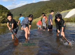 川底を耕してリュウキュウアユの産卵環境を整える児童ら＝２８日、奄美市住用町