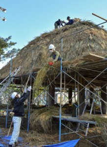 協力して高倉のふき替え作業を進める中村さんら＝２５日、龍郷町浦