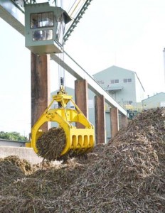 製糖シーズンが始まり工場に搬入されたサトウキビ＝２０日、徳之島町徳和瀬