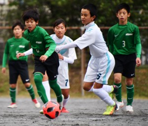 ３６チームが出場して開幕した南海日日旗争奪少年サッカー大会＝１５日、名瀬運動公園多目的広場