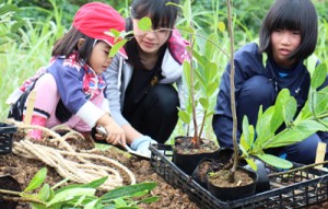 協力し合いながら植樹する参加者（提供写真）＝１６日、与論町多目的屋外運動場