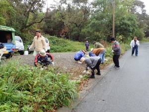 本茶峠での駆除作業（提供写真）