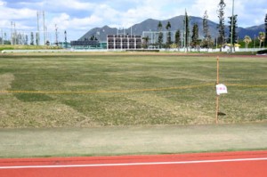 天然芝の敷設工事が完了した天城町総合運動公園グラウンド＝２５日、天城町浅間