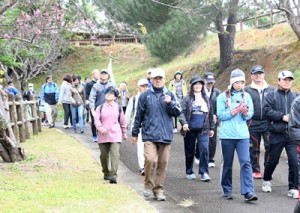 奄美トレイルの徳之島町コース開通を記念した春らんまん桜ウオーキング＝２７日、同町徳和瀬