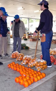 奄美産ポンカンの品薄が続く名瀬中央青果の競り市場＝８日、奄美市名瀬