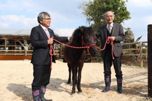 歓迎セレモニーで十島村の有村教育長（左）から喜界町の川島町長（右）に引き渡された馬グラッシー＝２４日、喜界町伊実久