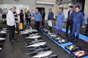  新鮮な魚が並んだ名瀬漁協の初競り＝５日、奄美市名瀬