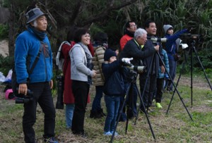 元旦恒例の探鳥会を楽しむ参加者ら＝１日、奄美市笠利町の大瀬海岸