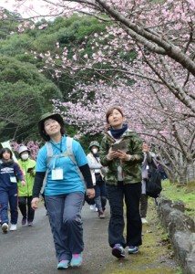 過去最多の９７９人が参加したまほろば大和ウオーキング大会＝２７日、大和村