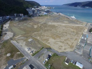 名瀬港本港地区で整備が進む埋め立て地＝５日、奄美市名瀬（本社小型無人機で撮影）