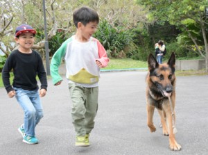  マングース探索犬との触れ合いを楽しむ子どもたち＝２４日、大和村
