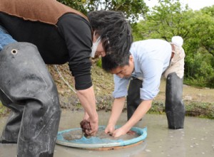 泥染めを体験する和歌山県の紀州漆器協同組合青年部メンバー＝２３日、龍郷町大勝