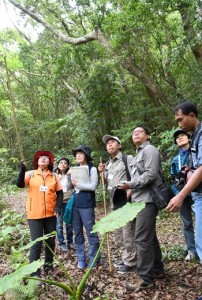 エコツアーガイドから説明を受けるインドネシアの国立公園事務所の職員ら＝２０日、天城町三京