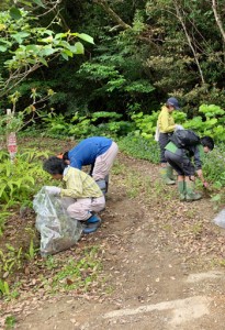 除去作業を行う奄美マングースバスターズのメンバーら＝２２日、奄美市住用町の奄美中央林道（提供写真）