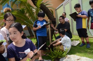 放浪館周辺で野草採りを楽しむ小学生ら＝１９日、龍郷町戸口 