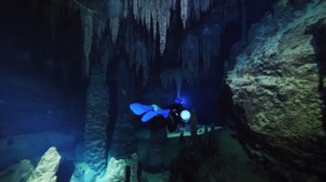 国内最大級の海底鍾乳洞の入り口のウンブキ＝４月８日撮影