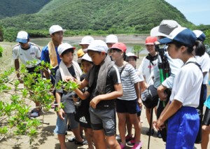 マングローブ林で干潟の生き物について学ぶ児童生徒＝７日、奄美市住用町