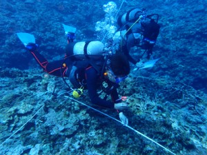 ダイビング事業者ら２１人が参加したヨロン島リーフチェック＝５月２５日、与論島の茶花沖（海の再生ネットワークよろん提供）