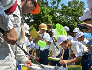 西さん（左）の説明を聞き、昆虫を観察する児童たち＝１２日、奄美市名瀬小湊