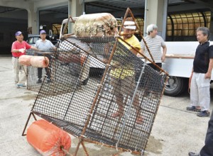 藻場再生のためのケージを整備する漁業関係者＝６日、名瀬漁協