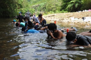 リュウキュウアユの姿を探す児童ら＝１３日、奄美市住用町