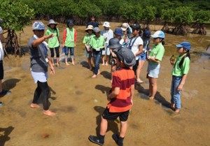 干潟の生き物を観察した奄美・沖縄こども環境調査隊の現地視察初日=２２日、沖縄県西表島