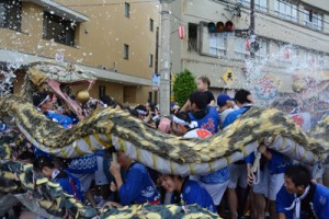 縁起物として子どもに人気のハブ隊。暑気払いの水も掛けられ歓声が沸く＝４日、奄美市名瀬