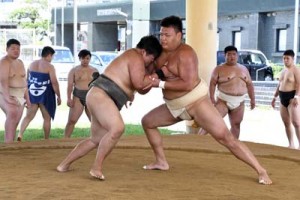 徳之島合宿で汗を流す樟南高校と近畿大学の相撲部員ら＝２３日、徳之島町亀津