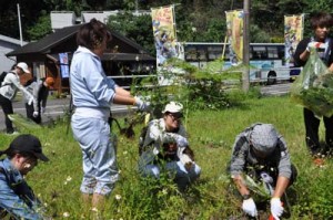 根や茎を残さないよう外来植物を取り除く学生ら＝４日、奄美市住用町