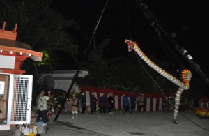 左に建っている社殿の屋根を飛び越えそうなほど高く宙を舞う大蛇＝１４日、知名町上平川