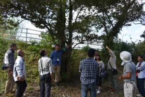 身近な植物を通して自然観察の手法を学んだセミナー＝８日、奄美市名瀬の県立奄美少年自然の家