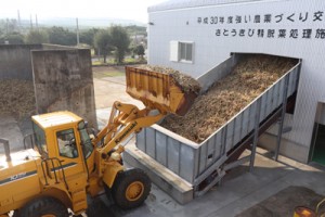 搬入が始まり、精脱葉処理施設に運ばれる原料のサトウキビ＝１８日、喜界町の生和糖業