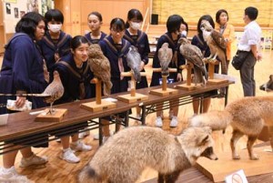 展示された動物の剥製を鑑賞する生徒ら＝１２日、天城町天城