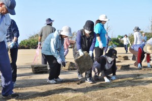 再整備中のフローラルパークで、芝張りのボランティアを行う地域住民ら＝２４日、知名町知名