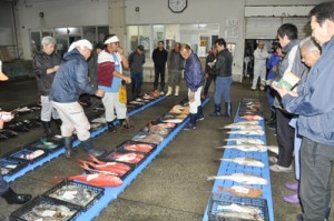 新鮮な魚が並んだ名瀬漁協の初競り＝６日、奄美市