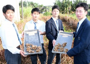 露地での黒ウコン実証栽培を行った徳之島高校総合学科生物生産系列の生徒と、収穫した