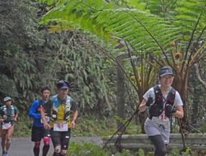 自然を楽しみながら山道を駆ける５０㌔コース出場者＝９日、宇検村