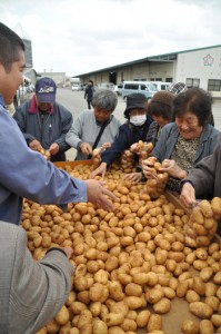 「詰め放題１００円」などのイベントもあり、買い物客でにぎわった「じゃがいも祭り」＝８日、和泊町