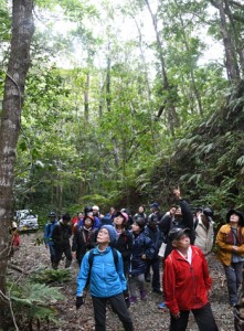 世界自然遺産推薦地を散策し、身近に残る自然に触れる参加者＝９日、徳之島中部の剥岳林道