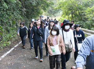 林道の自然に親しみながら歩く参加者＝１１日、天城町当部